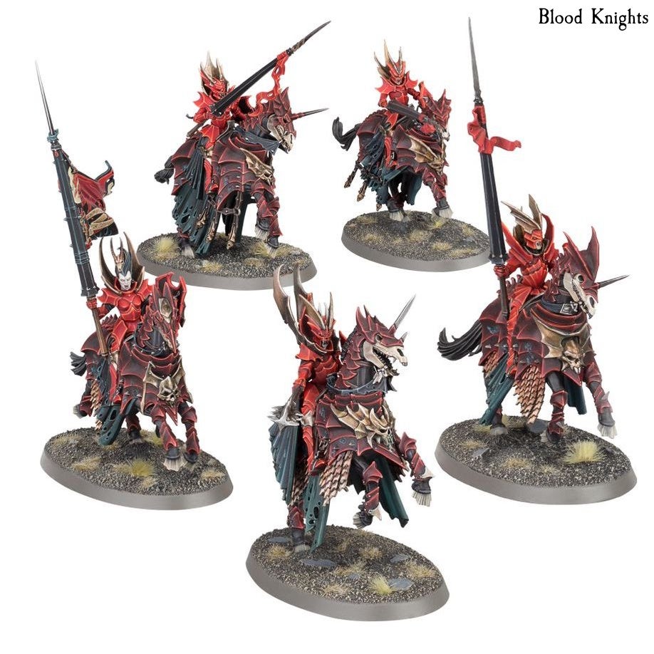 Warhammer Age of Sigmar Soulblight Gravelords Battleforce 2025